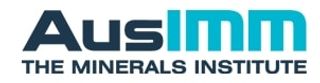 Ausimm logo