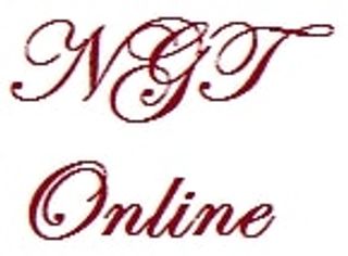 NGT ONLINE logo