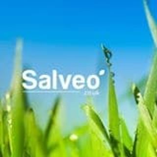 Salveo logo